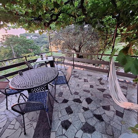 Vera Kampor Ngoại thất bức ảnh